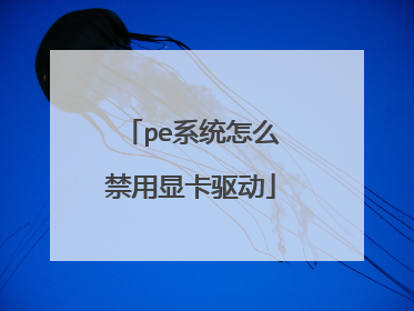 pe系统怎么禁用显卡驱动