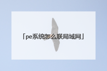 pe系统怎么联局域网