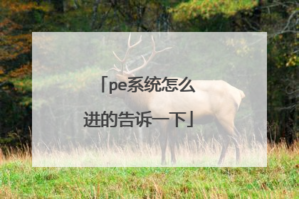 pe系统怎么进的告诉一下