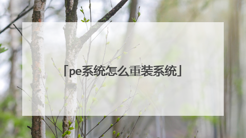 pe系统怎么重装系统