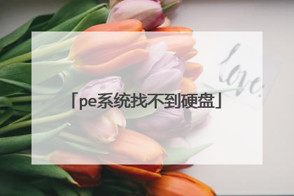 pe系统找不到硬盘