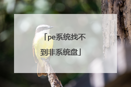 pe系统找不到非系统盘