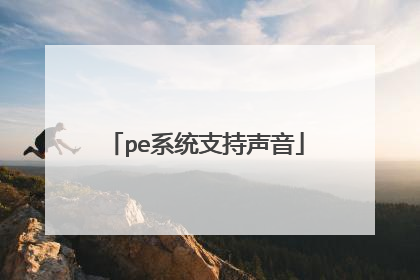 pe系统支持声音