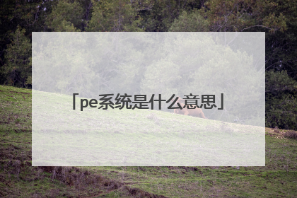 pe系统是什么意思