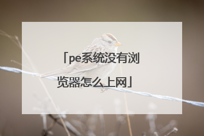 pe系统没有浏览器怎么上网