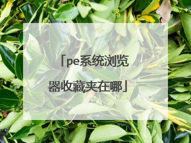pe系统浏览器收藏夹在哪