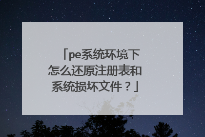 pe系统环境下怎么还原注册表和系统损坏文件?