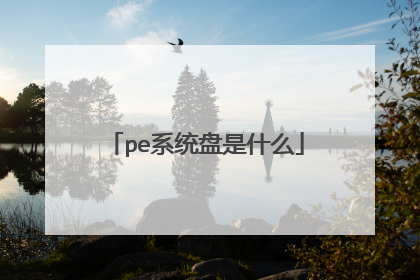 pe系统盘是什么
