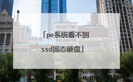 pe系统看不到ssd固态硬盘