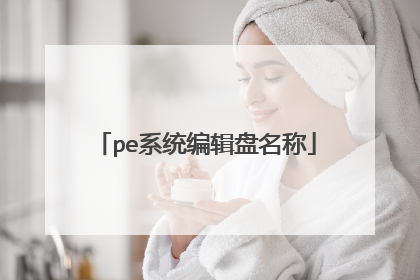 pe系统编辑盘名称