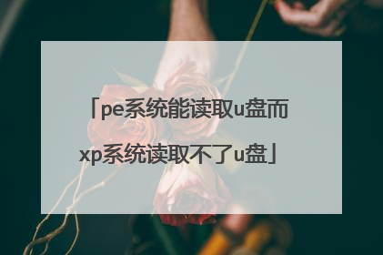 pe系统能读取u盘而xp系统读取不了u盘