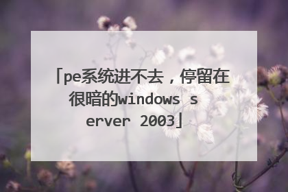 pe系统进不去,停留在很暗的windows server 2003