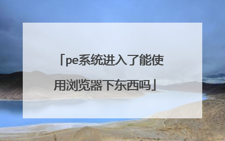pe系统进入了能使用浏览器下东西吗