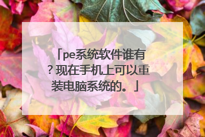 pe系统软件谁有?现在手机上可以重装电脑系统的。