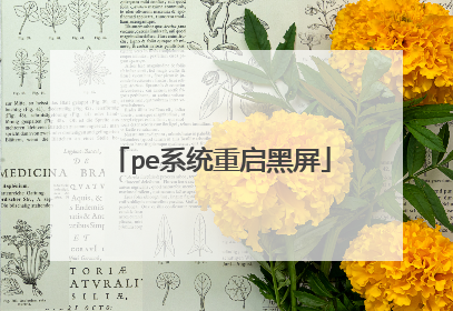 pe系统重启黑屏