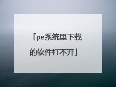 pe系统里下载的软件打不开