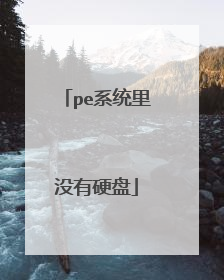 pe系统里没有硬盘