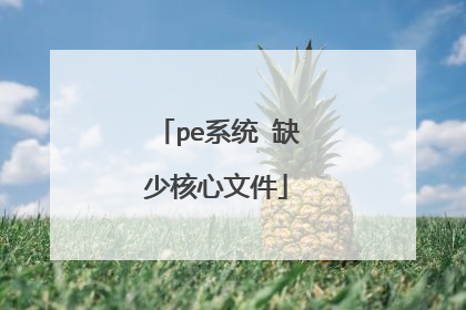 pe系统 缺少核心文件