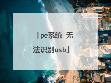 pe系统 无法识别usb