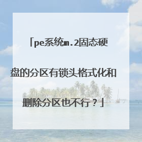 pe系统m.2固态硬盘的分区有锁头格式化和删除分区也不行?