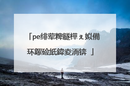 pe绯荤粺鐩樺ぇ姒備环鏍硷紙鍏夌洏锛�