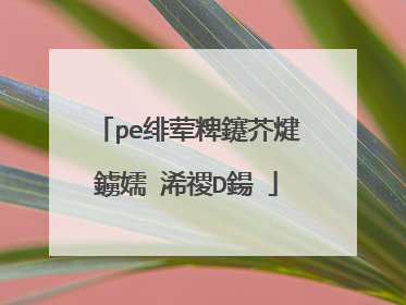 pe绯荤粺鑳芥煡鐪嬬‖浠禝D鍚�