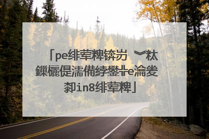 pe绯荤粺锛岃�︾粏鏁欐偍濡備綍鐢╬e瀹夎�厀in8绯荤粺