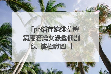 pe缁存姢绯荤粺鎬庝箞瀹夊湪鐢佃剳纭�鐩橀噷闈�