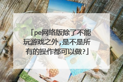 pe网络版除了不能玩游戏之外,是不是所有的操作都可以做?
