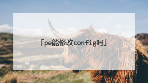 pe能修改config吗