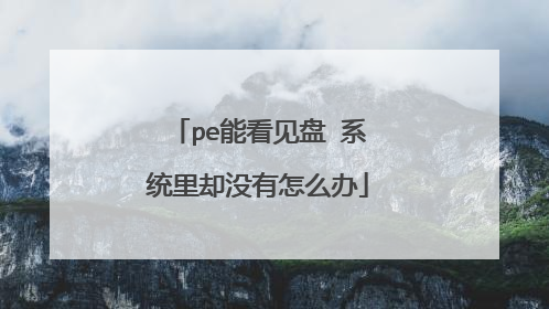 pe能看见盘 系统里却没有怎么办