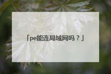 pe能连局域网吗?