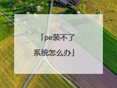 pe装不了系统怎么办