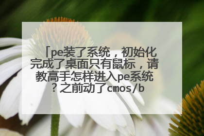 pe装了系统，初始化完成了桌面只有鼠标，请教高手怎样进入pe系统？之前动了cmos/bios设置，