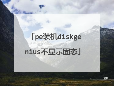 pe装机diskgenius不显示固态