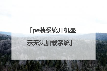 pe装系统开机显示无法加载系统