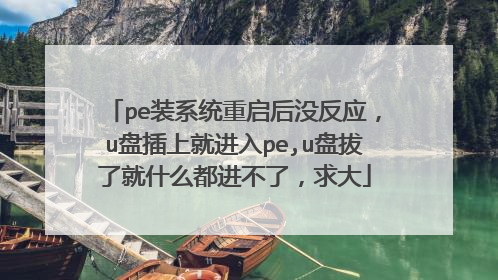 pe装系统重启后没反应，u盘插上就进入pe,u盘拔了就什么都进不了，求大