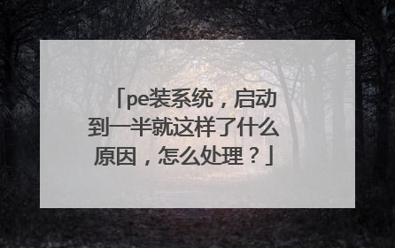 pe装系统,启动到一半就这样了什么原因,怎么处理?