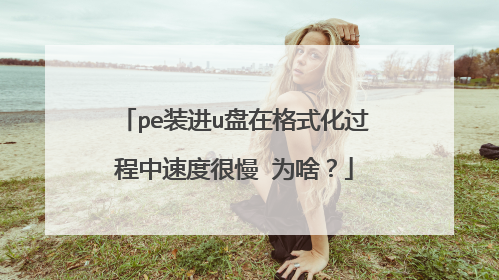 pe装进u盘在格式化过程中速度很慢 为啥？