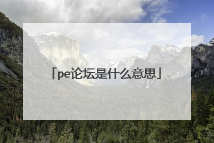 pe论坛是什么意思