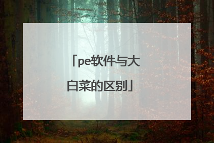 pe软件与大白菜的区别
