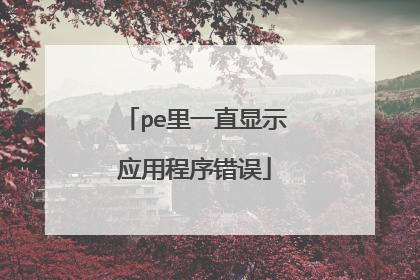 pe里一直显示应用程序错误