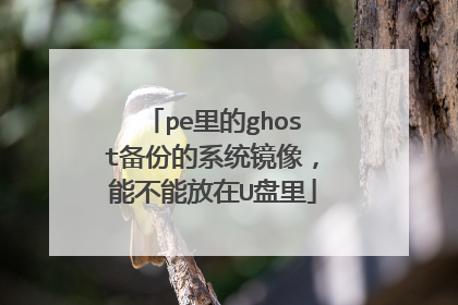 pe里的ghost备份的系统镜像，能不能放在U盘里