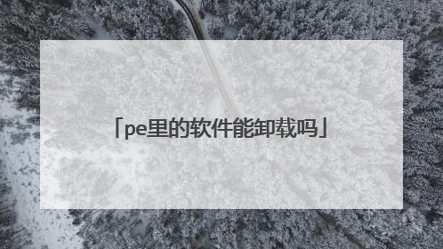 pe里的软件能卸载吗