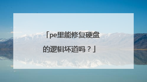 pe里能修复硬盘的逻辑坏道吗？