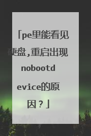 pe里能看见硬盘,重启出现nobootdevice的原因？