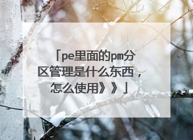pe里面的pm分区管理是什么东西,怎么使用》》