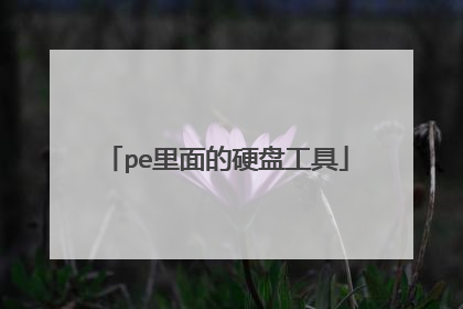 pe里面的硬盘工具