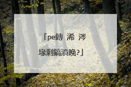 pe鏄�浠�涔堟剰鎬濆晩?