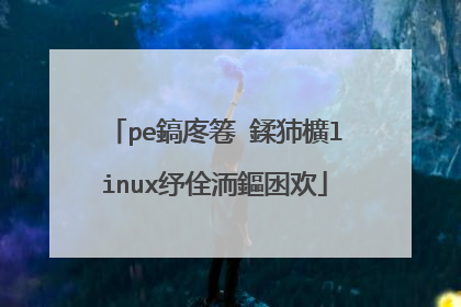pe鎬庝箞 鍒犻櫎linux纾佺洏鏂囦欢